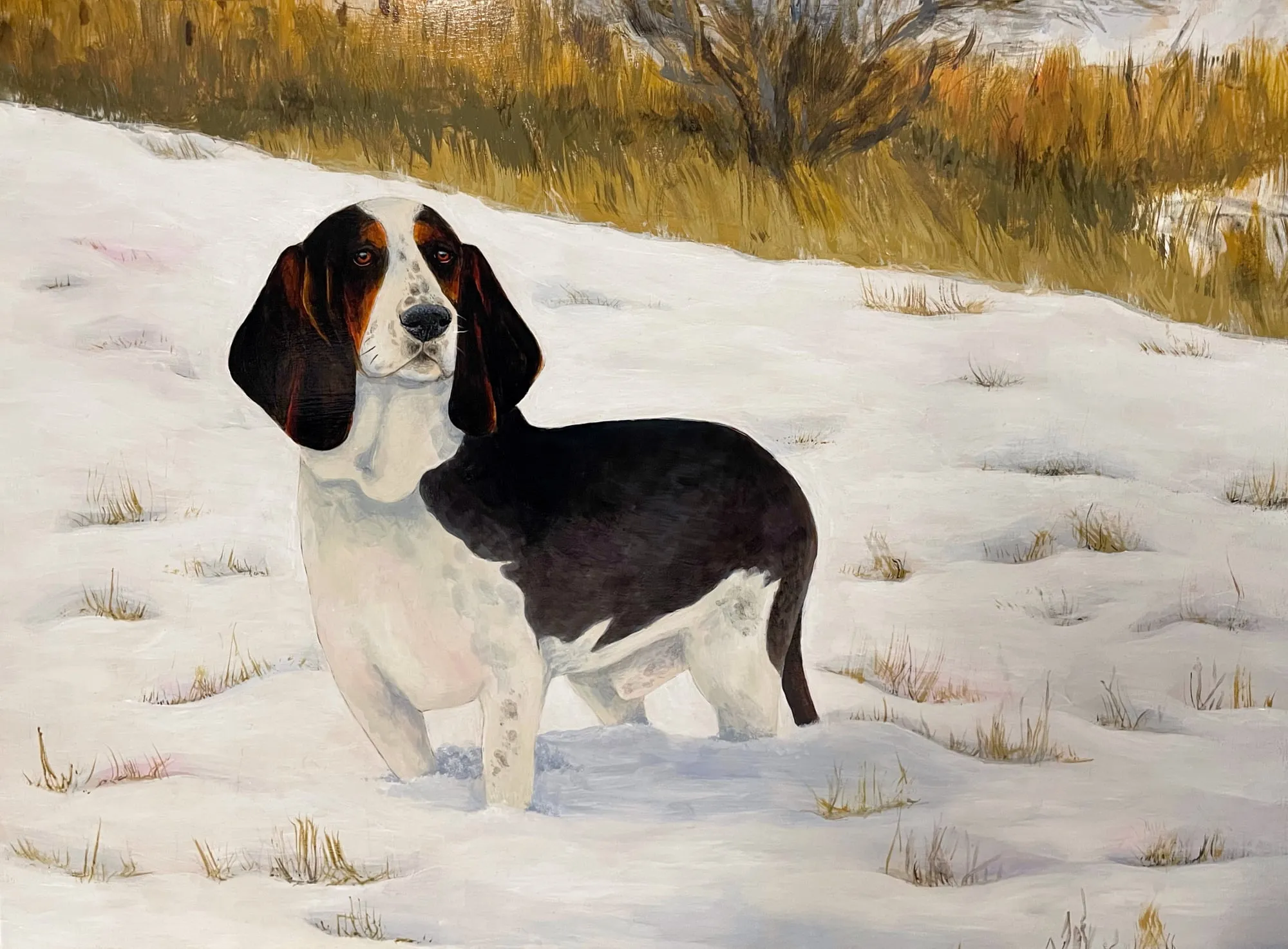 Acrylic painting of a basset hound named Dot with long ears.